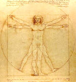 Leonardo da Vinci Vitruvian Man 1490