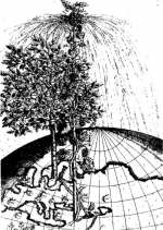 О. Рудбек «Атлантика»: Деревья Сима и Атланта. Фронтиспис