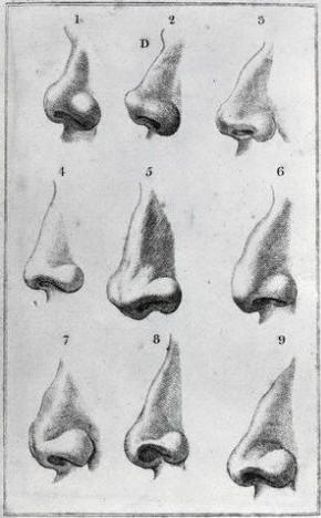Engravings Depicting Various Noses