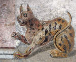 Cat mosaic from Pompeii