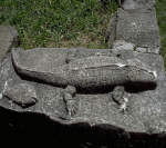 Stone Carved Crocodile at Hilisimaetano Village