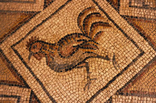 Rooster from Floor Mosaic from Twal Family Chapel in Madaba Museum