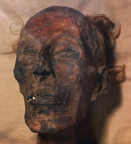 Mummified Head of Ramses II. Cairo, Egypt