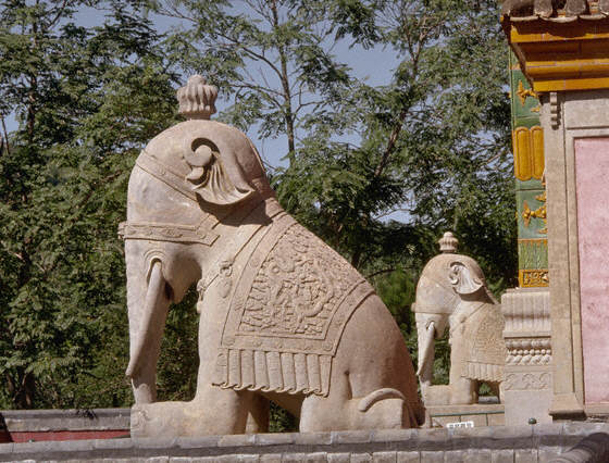 Stone Elephants at the Entrance to the Temple of Universal Peace, China