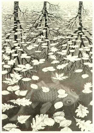 Three Worlds by M. Escher
