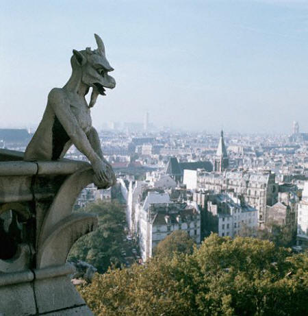 Gargoyle Sculpture at Notre Dame Cathedral