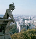 Gargoyle Sculpture at Notre Dame Cathedral