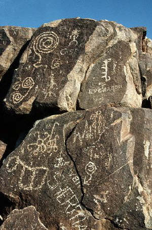 Petroglyphs With Modern Graffiti in the Saguaro National Monument in Arizona