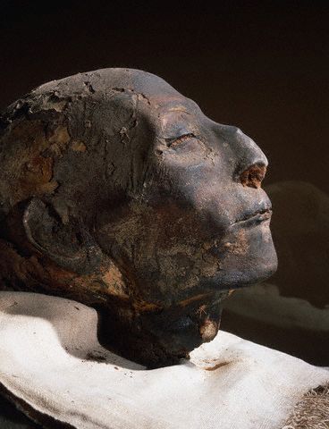 Mummified Head of Nebera