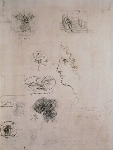 Drawing of Emblems and a Man's Profile by Leonardo da Vinci