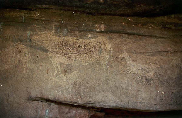 Cave Painting of Animals at Navazo