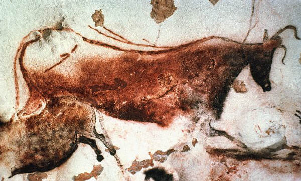 Paleolithic Cave Painting of Cattle at Lascaux