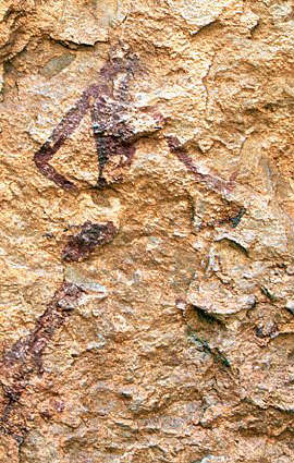 Cave Painting of a Human Figure With Ornaments at the Knees at Cueva de la Vieja