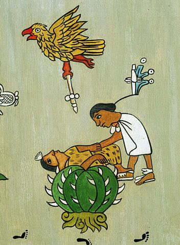 Illustration of Aztec Human Sacrifice