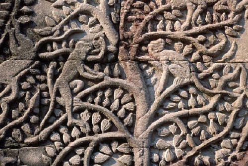 Bas-Relief of Monkeys in Tree. Angkor Thom, Cambodia