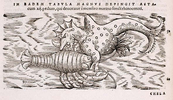 Dragon and Lobster From Historiae Animalium 1551-1558