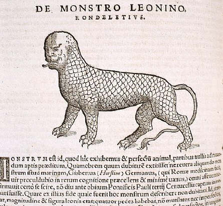 Lion Monster From Historiae Animalium