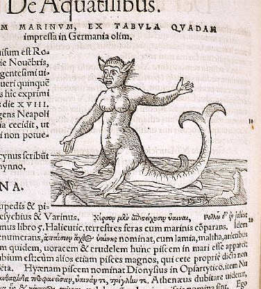 Marine Monster From Historiae Animalium 1551-1558
