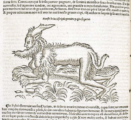 Monster From Historiae Animalium 1551-1558