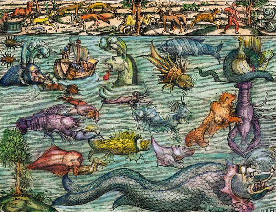 Sea Monsters and other strange creatures from Sebastian Munster's Cosmography