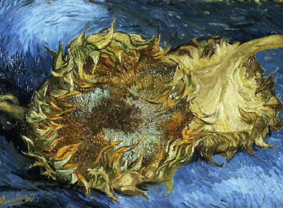 Sunflowers by Vincent van Gogh 1887