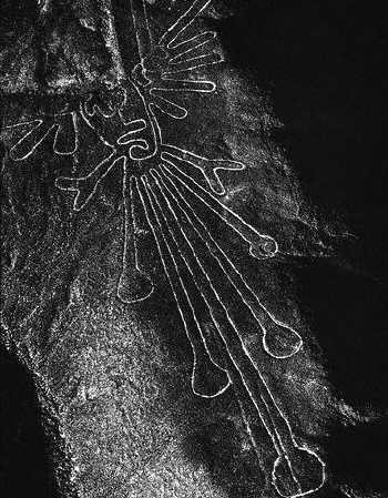 Nazca, Peru. This figure has been variously identified as a bird or a representation of a god