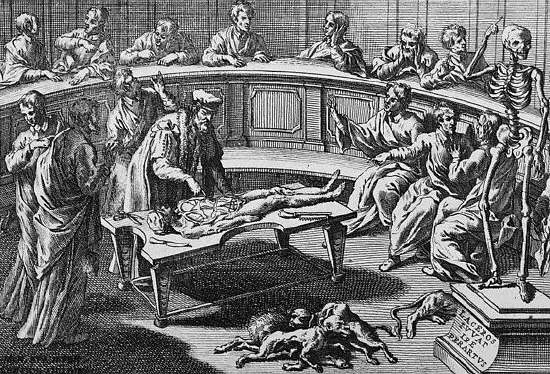 Man Dissecting Corpse at Anatomical Theater, 1714