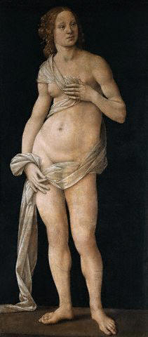 Venus by Lorenzo di Credi ca. 1490
