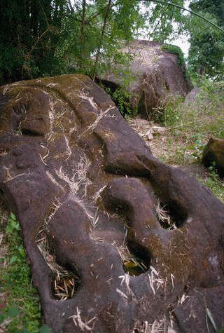 The crocodile stone, which possibly was used for human sacrifice by the Chenla culture, Laos