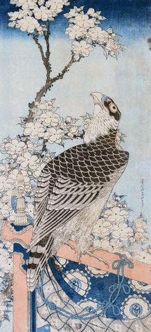 Falcon Perched on a Red Lacquer Stand and Branches of Blossoming Cherry by Hokusai 1795