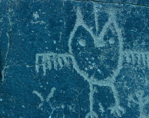 Petroglyph of Small Owl