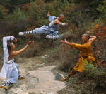 Wushu Students Practising Kung Fu