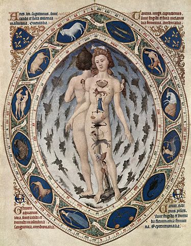 Miniature signs of the zodiac in relation to the human body, Polde Limburg